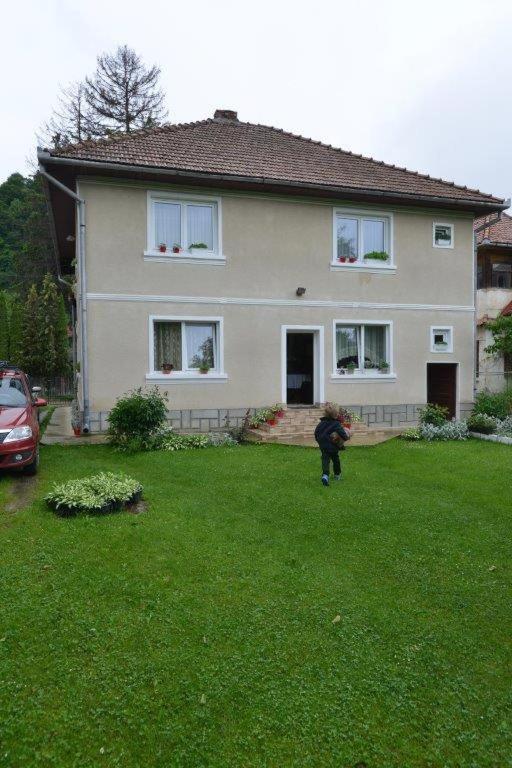 Casa Georgeta Guest House Bran  Exterior photo