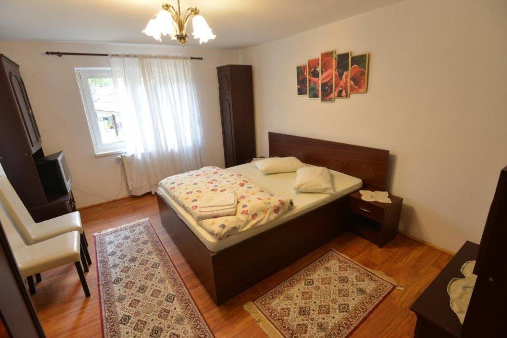 Casa Georgeta Guest House Bran  Exterior photo
