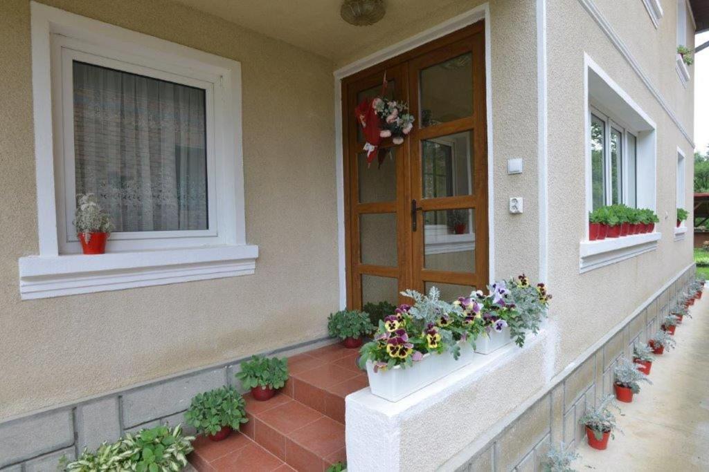 Casa Georgeta Guest House Bran  Exterior photo