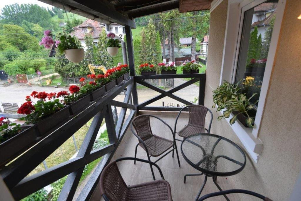 Casa Georgeta Guest House Bran  Exterior photo