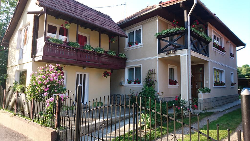 Casa Georgeta Guest House Bran  Exterior photo